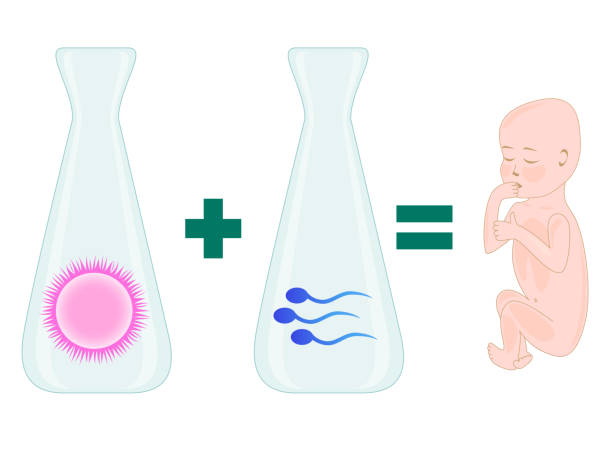泰國杰特寧醫(yī)院試管嬰兒成功案例大揭秘