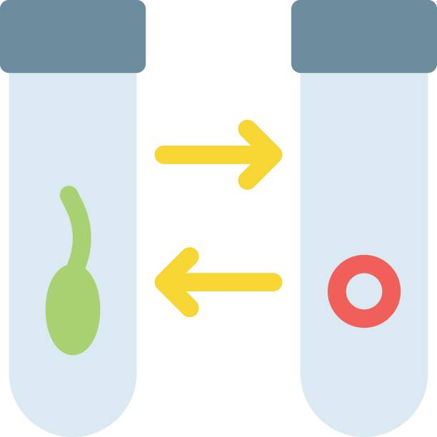 專業泰國試管嬰兒醫院排名,為您指引方向 專業泰國試管嬰兒醫院排名,為您指引方向