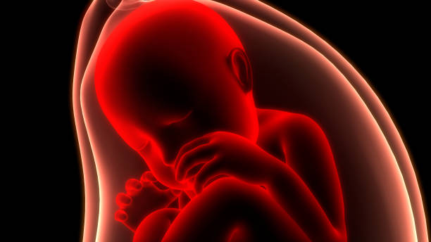 2025年泰國試管嬰兒選哪家醫院?看這里! 2025年泰國試管嬰兒選哪家醫院?看這里!