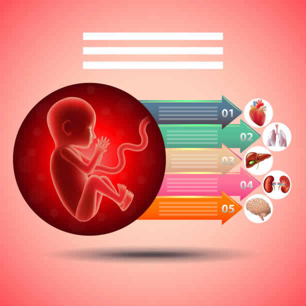 專業泰國試管嬰兒醫院排名,為您指引方向 專業泰國試管嬰兒醫院排名,為您指引方向